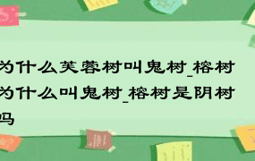 为什么芙蓉树叫鬼树_榕树为什么叫鬼树_榕树是阴树吗