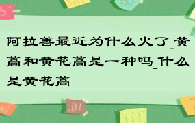 阿拉善最近为什么火了_黄蒿和黄花蒿是一种吗_什么是黄花蒿