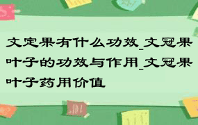 文定果有什么功效_文冠果叶子的功效与作用_文冠果叶子药用价值