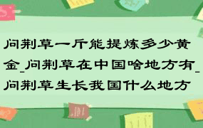 问荆草一斤能提炼多少黄金_问荆草在中国啥地方有_问荆草生长我国什么地方