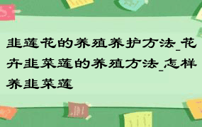 韭莲花的养殖养护方法_花卉韭菜莲的养殖方法_怎样养韭菜莲