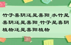 竹子喜阴还是喜阳_水竹是喜阴还是喜阳_竹子是喜阴植物还是喜阳植物