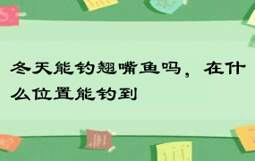 冬天能钓翘嘴鱼吗，在什么位置能钓到