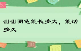 甜甜圈龟能长多大，能活多久