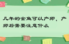 几年的金鱼可以产卵，产卵后需要注意什么