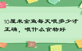 10厘米金鱼每天喂多少才正确，喂什么食物好